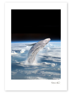 Collage "Ballena espacial" de Rosco - Reproducciones A4 y A3