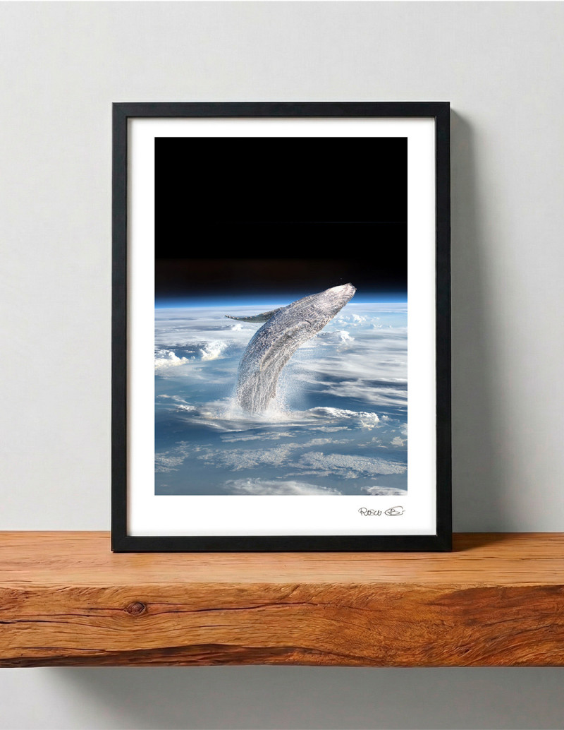 Collage "Ballena espacial" de Rosco -...