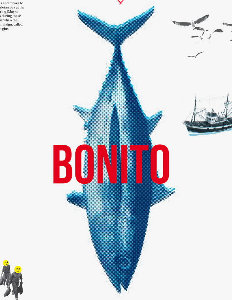 Collage "Bonito" de Rosco - Reproducciones A4 y A3