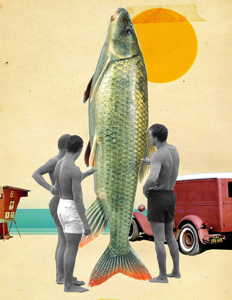 Collage "California" by Rosco - A4 and A3...