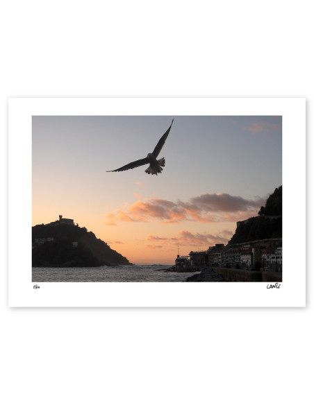 "La gaviota" photography. Marine Donosti limited serie by Lance