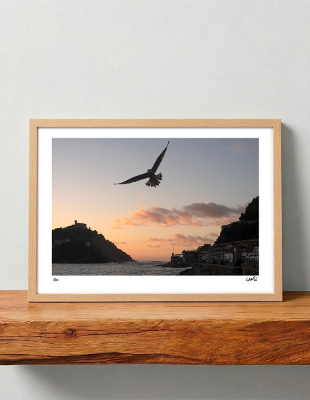 "La gaviota" photography. Marine Donosti limited serie by Lance