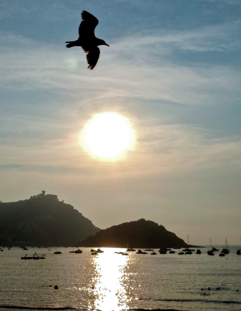 "Volare" photography. Marine Donosti limited...