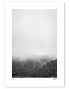 "Ulia fog" photography. Street Photography serie by...