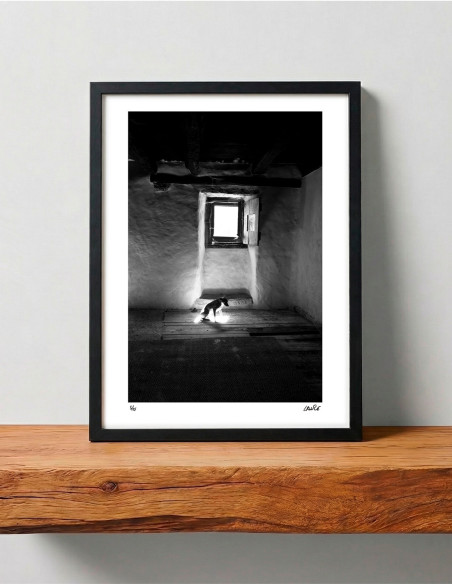 "El perro 1" photography. Street Photography serie by Lance. A4 and A3