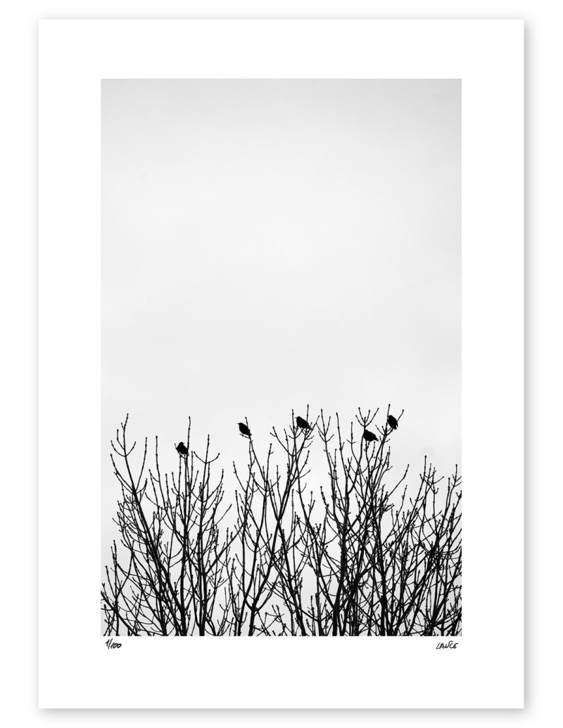 Fotografía "Arruitz 2". Serie Street...