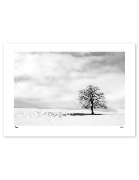 "Arruitz nieve" photography. Street Photography serie by Lance