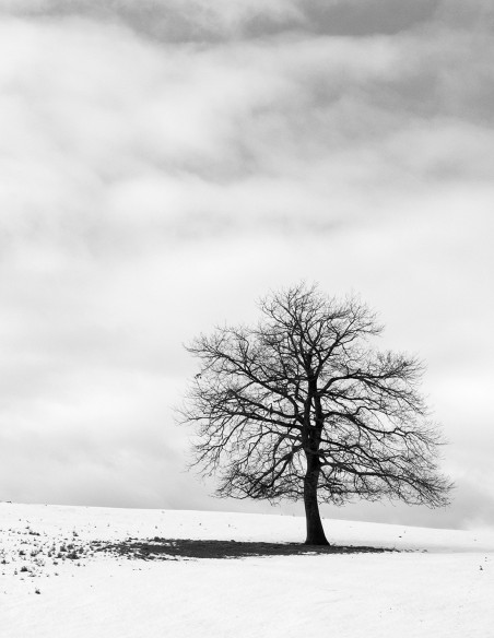Fotografía "Arruitz nieve". Serie Street Photography de Lance