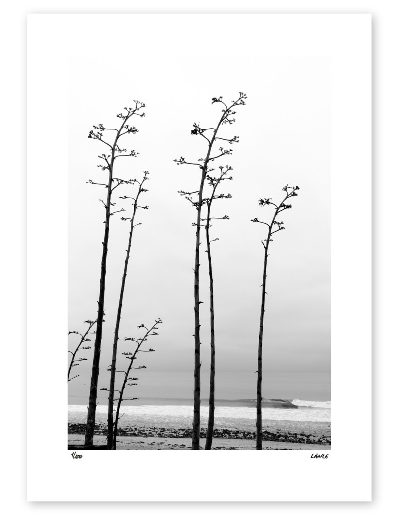 Fotografía "California Dream". Serie Street...