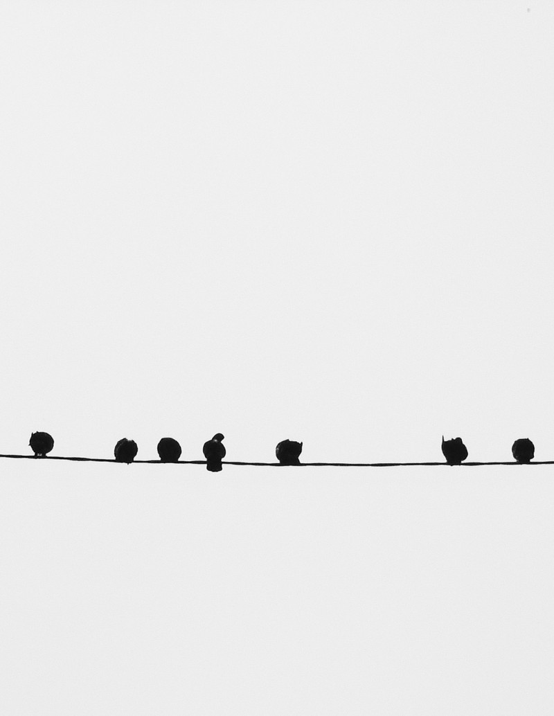 Fotografía "El cable" A5