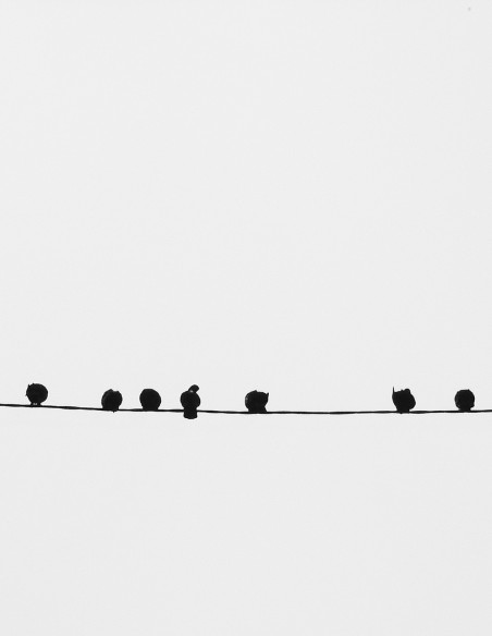 Fotografía "El cable" A5