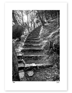 Fotografía "Escaleras Urgull". Serie Street Photography...