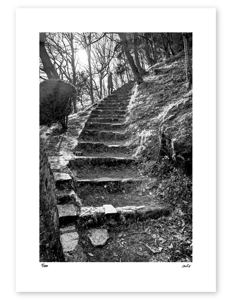 Fotografía "Escaleras Urgull". Serie Street...