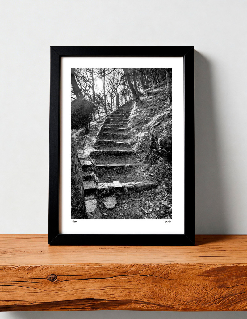 Fotografía "Escaleras Urgull". Serie Street...