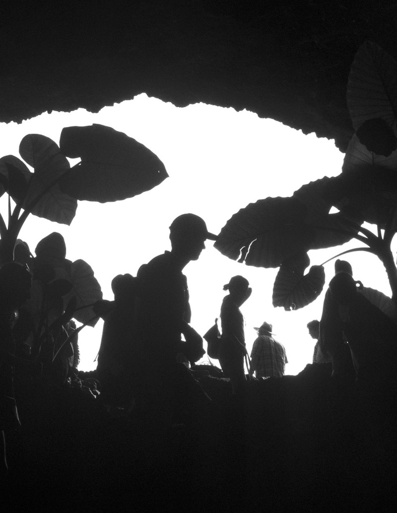 "La cueva clara" photography. Street...
