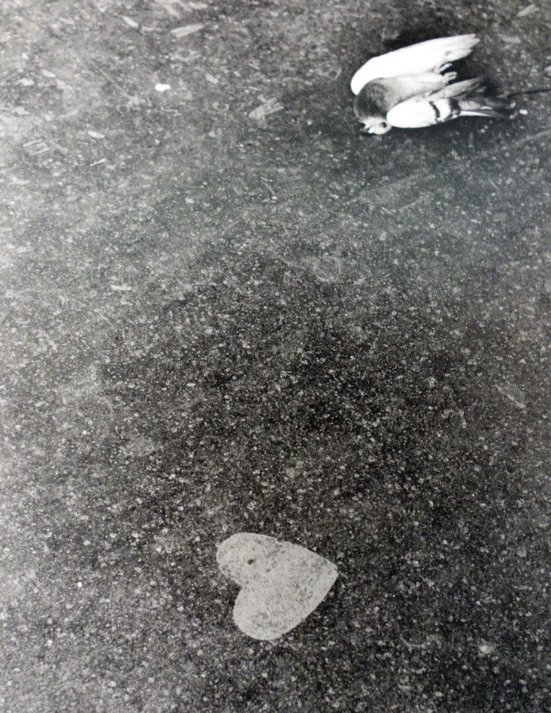 Fotografía "Paris amour". Serie Street...