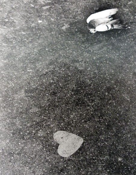 Fotografía "Paris amour". Serie Street Photography de Lance