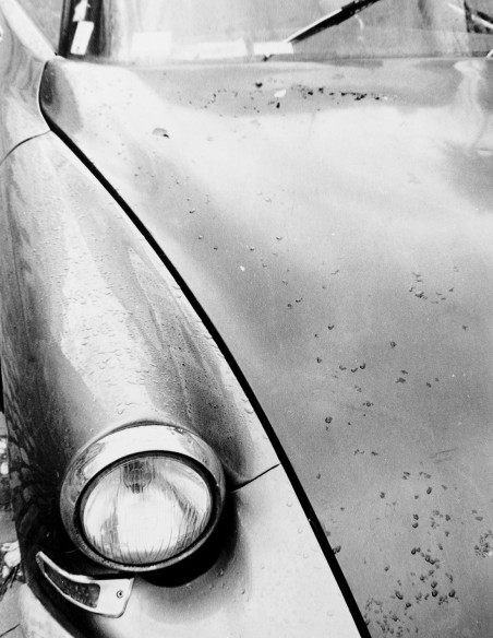 Fotografía "Tiburón". Serie Street Photography de Lance