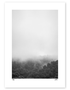 Fotografía "Ulía fog". Serie Street Photography de Lance