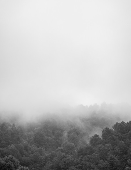 Fotografía "Ulía fog". Serie Street Photography de Lance