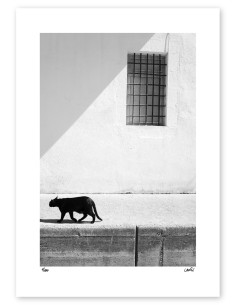 Fotografía "El gato de Cadaqués". Serie Street...