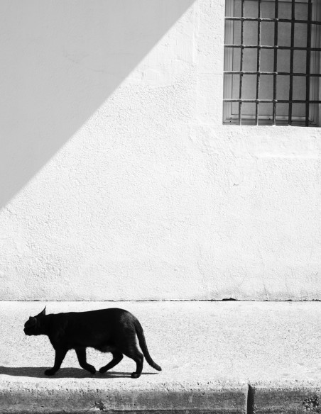 Fotografía "El gato de Cadaqués". Serie Street Photography de Lance