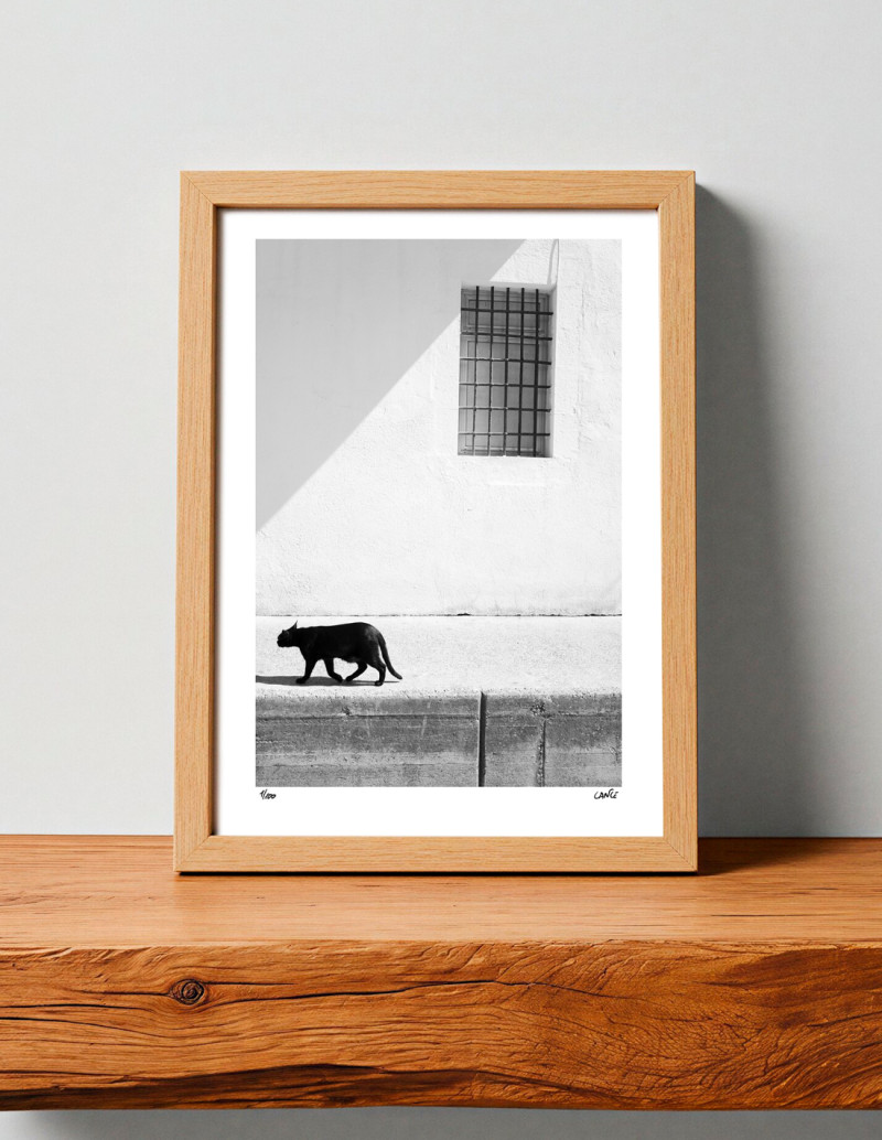 Fotografía "El gato de Cadaqués". Serie Street...